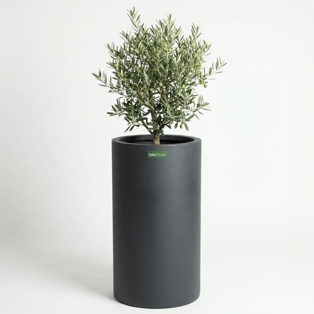 Fiber Duvar Saksısı